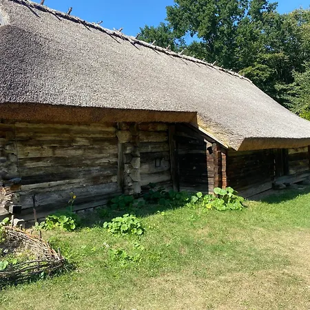 Villa Sunny Byala (Varna)